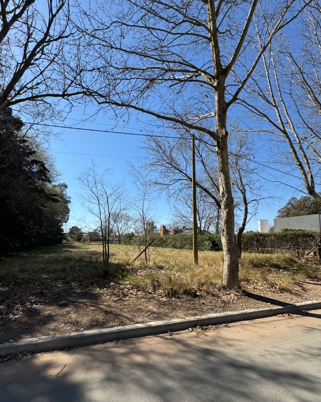 Terreno sobre Avda. San Martín